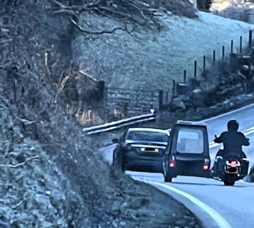 photo 2026 02 09 09 07 51 2 edit